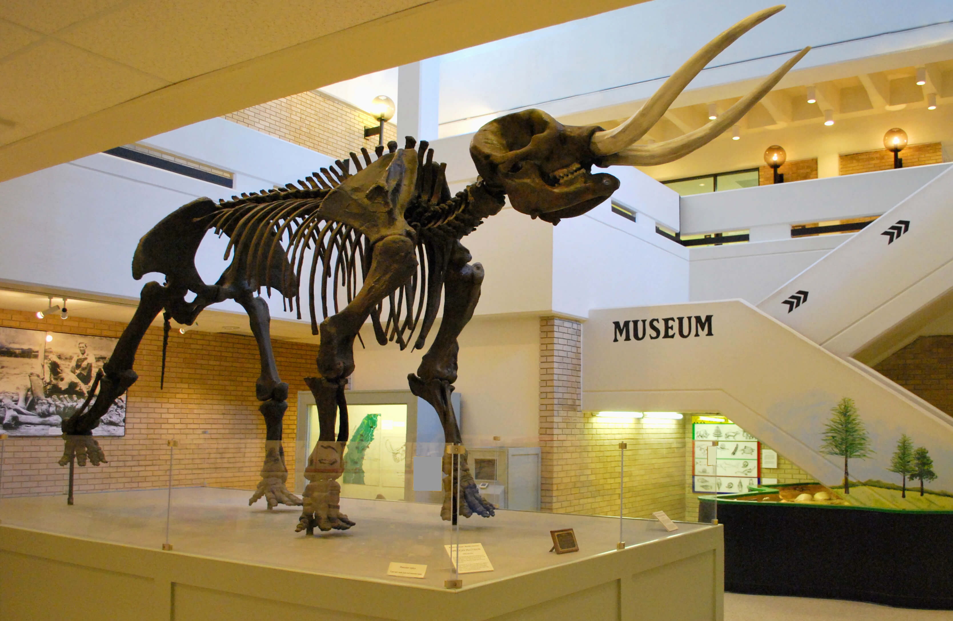 OUR CULTURE Jonesboro Chamber of Commerce